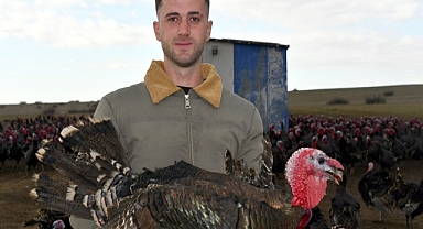 Tekirdağ'da yılbaşı öncesi hindi satışları arttı; dişi hindiye ilgi daha fazla