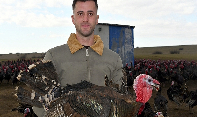 Tekirdağ'da yılbaşı öncesi hindi satışları arttı; dişi hindiye ilgi daha fazla