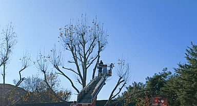 Vilayet Kafe Yeni Yıl Atmosferine Bürünüyor