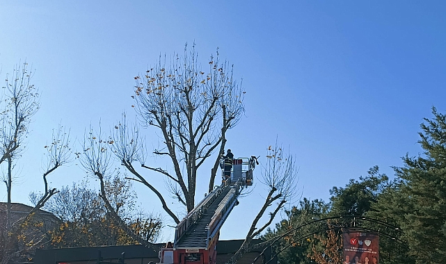 Vilayet Kafe Yeni Yıl Atmosferine Bürünüyor