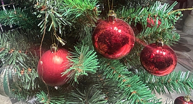 Yılbaşı Ağacı Geleneği: Evlerde Yeni Yılın Sıcak ve Işıltılı Simgesi