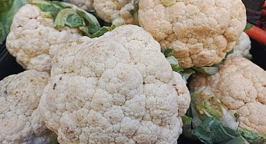 Karnabahar Kış Sofralarının Vazgeçilmezi: Faydalarıyla Dikkat Çekiyor