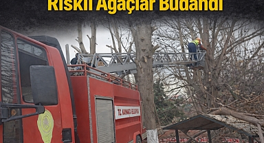 Kaynarca'da Ağaç Budama Çalışmalarıyla Güvenlik Ön Planda