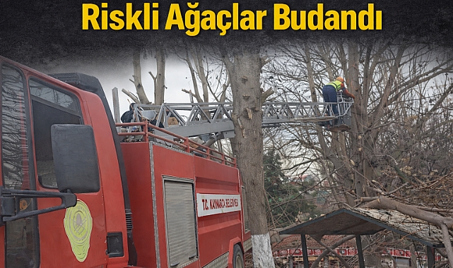 Kaynarca'da Ağaç Budama Çalışmalarıyla Güvenlik Ön Planda