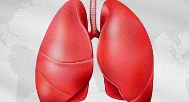 Kırklareli İl Sağlık Müdürlüğü’nden Tüberküloz Uyarısı