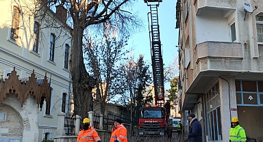 Kırklareli'nde Ara Sokaklarda Ağaç Budama Çalışmaları