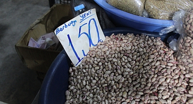 Kırklareli'nde Barbunya Fiyatı Dikkat Çekiyor