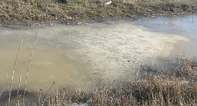 Kırklareli'nde Don Etkisi: Su Birikintileri Buzla Kaplanıyor