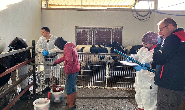 Kırklareli'nde Hayvancılık İşletmelerine Sıkı Denetim