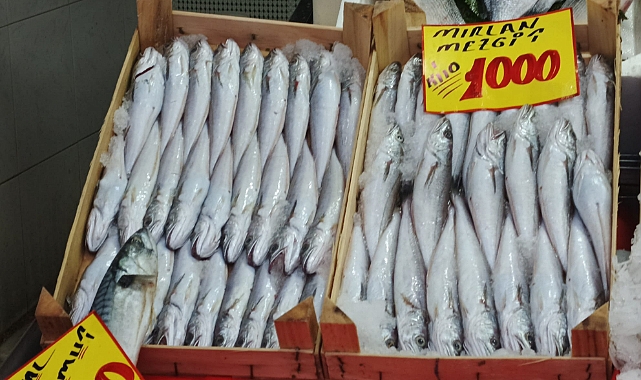 Kırklareli'nde Mezgit 'ten Rekor Fiyat