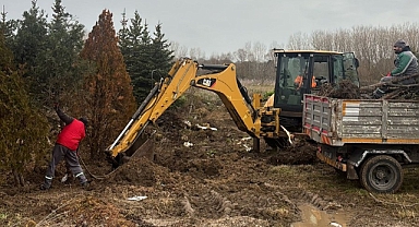 Lüleburgaz'da Kavşak Çalışmasında Ağaçlar Koruma Altında
