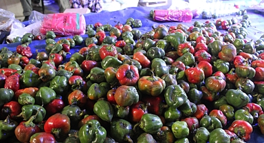 Pazarlarda Yeni Alışveriş Alışkanlığı: İndirimli Ürünler Ön Planda