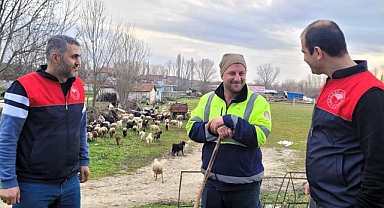 Pınarhisar'da Küçükbaş Yetiştiricilerine Sahada Destek