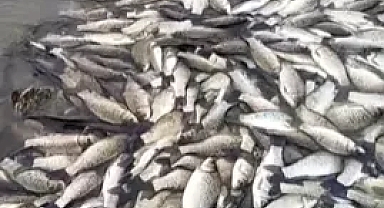 Tekirdağ’da gölette balık ölümlerine inceleme