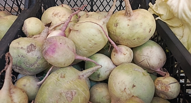 Turp Gibi Sağlık: Kış Sofralarının Şifa Kaynağı