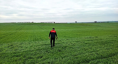 Babaeski'de Hububat Ekiliş Alanları Kontrol Edildi