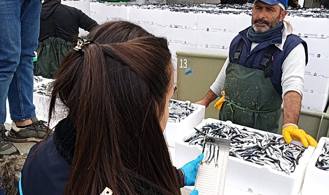 Demirköy'de Hamsi Nakillerine Sıkı Kontrol!