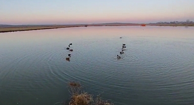 Edirne’de yasa dışı avlanan 4 avcıya 762 bin lira ceza
