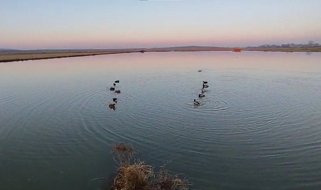 Edirne’de yasa dışı avlanan 4 avcıya 762 bin lira ceza