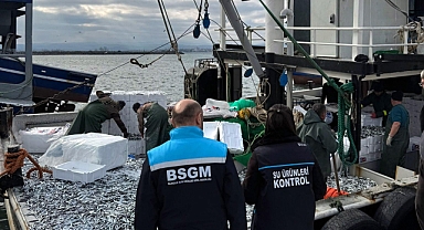 Kırklareli'de avlanan hamsiler denetlendi