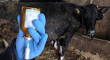 Kırklareli'nde 2026 İlkbahar Aşılama Programı Sahada Başladı