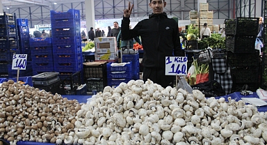 Kırklareli'nde mantarın kilosu 140 TL'den tezgâhlarda yerini aldı