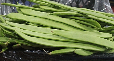 Kırklareli'nde Taze Fasulye Fiyatı Balığı Solladı