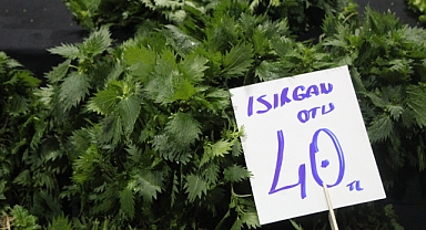 Kırklareli Pazarlarında Isırgan Otu 40 TL’den Tezgâhta