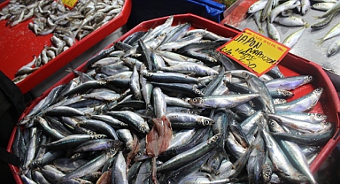 Kırklareli Pazarlarında Jabon Napolyon Hamsi 