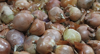 Kırklareli Pazarlarında Soğan Fiyatları Düştü