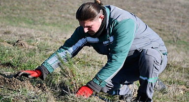 Lüleburgaz'da Yeşil Devrim: 3 Yılda 7 Bin 761 Fidan!
