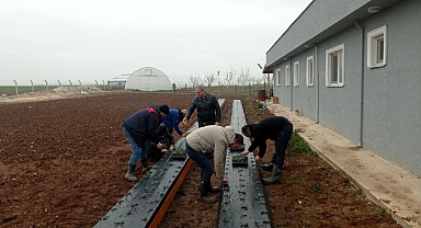 Pınarhisar'da Çilek Üretimine Teknik Destek