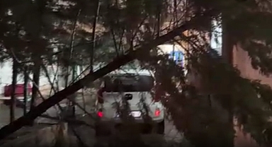 Tekirdağ'da fırtına; çatılar uçtu, ağaçlar devrildi