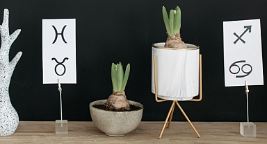 12 Mart 2026 Perşembe Burç Yorumları: Yeni Fırsatlar Gündemde