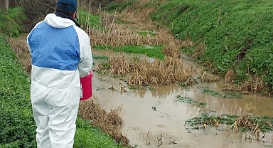 Babaeski Belediyesi'nden Sivrisinek ve Haşereyle Mücadele Atağı
