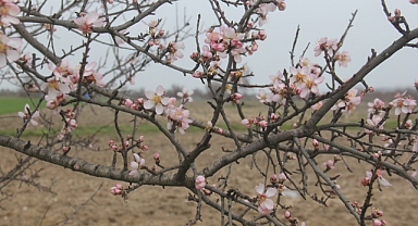 Baharın Habercisi Üçüncü Cemre Toprağa Düştü