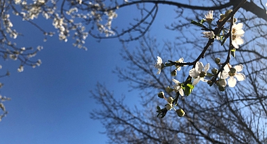 Baharın Müjdesi Görsel Şölene Dönüştü