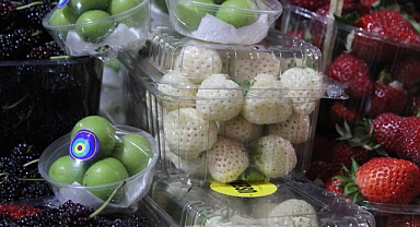 Beyaz Çilek (Pineberry) Yetiştiriciliği Yaygınlaşıyor