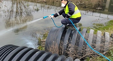 Büyükkarıştıran'da Haşereyle Mücadele Başladı