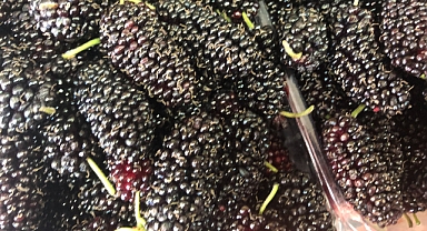 Dut Neden Tüketilmeli? Sağlık Açısından Önemi Dikkat Çekiyor