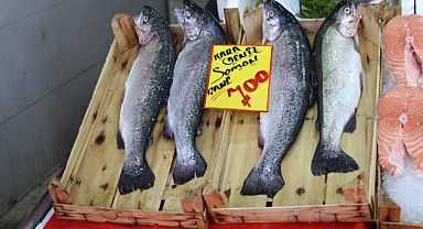 Kırklareli'nde Somon Balığı Fiyatı Rekor Kırdı