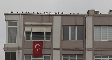 Kırklareli'nde Şubat Ayında 527 Satış Gerçekleşti