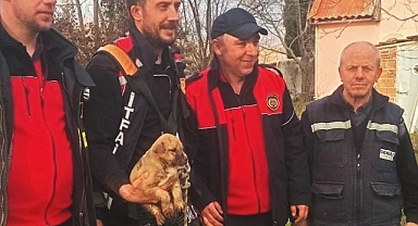 Kırklareli'nde Yürekleri Isıtan Kurtarma: Kuyudaki Yavru Köpek Kurtarıldı