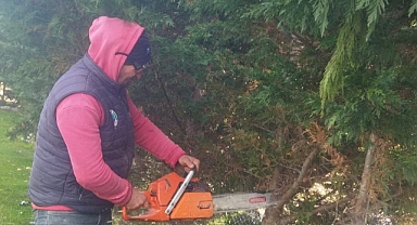 Kıyıköy'de Ağaç Budama ve Halı Saha Temizlik Çalışmaları