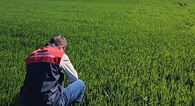 Pınarhisar'da Hububat Tarlalarında Tarım Kontrolleri