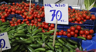 Salatalık Fiyatı Kırklareli Pazarlarında Rekor Seviyede