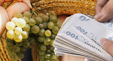 Şubat 2026 Enflasyonu Açıklandı: TÜFE Yıllık 31,53'e Ulaştı