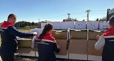 Tekirdağ'da baklavada kullanılacak 2 ton aflatoksinli fıstık ele geçirildi