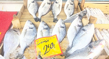 Babaeski'de Çupra Fiyatları Gündemde