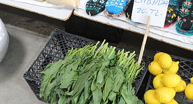 Baharın Gözdesi Labada Tezgâhlarda